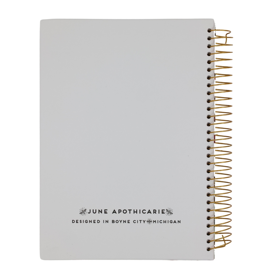 Dragons Spiral Notebook