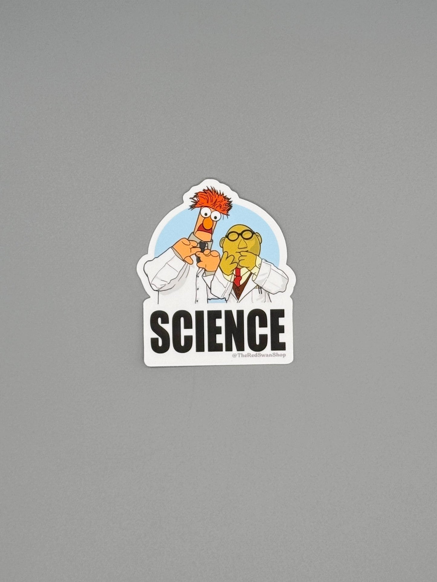 Vinyl Decal - The Muppets - Bunsen and Beaker
