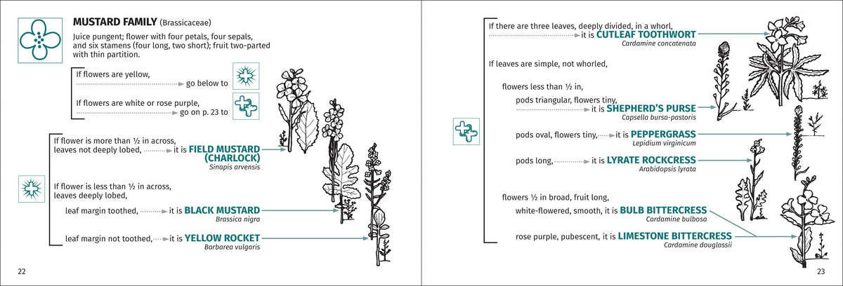 Flower Finder 2nd Edition