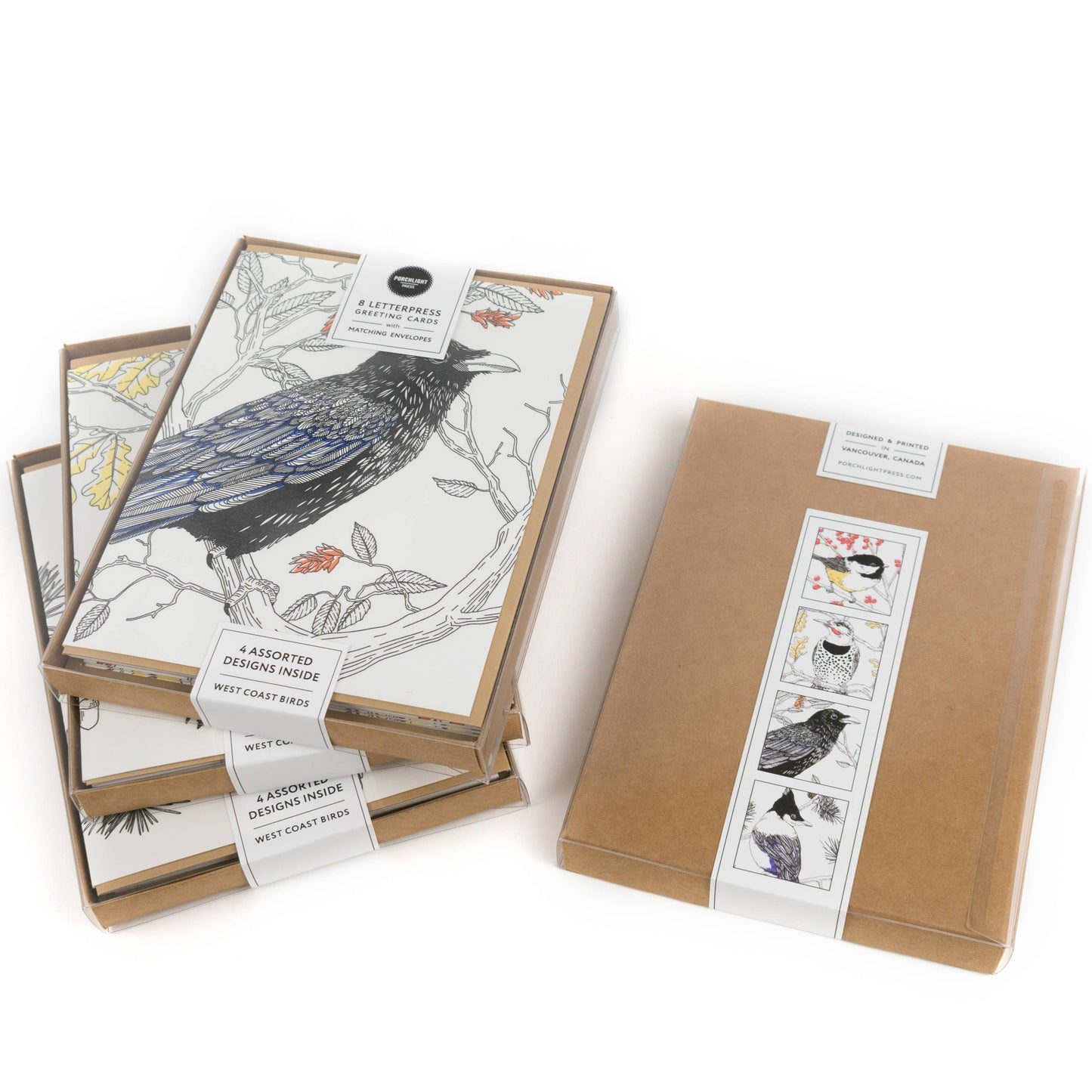 Black-capped Chickadee Card