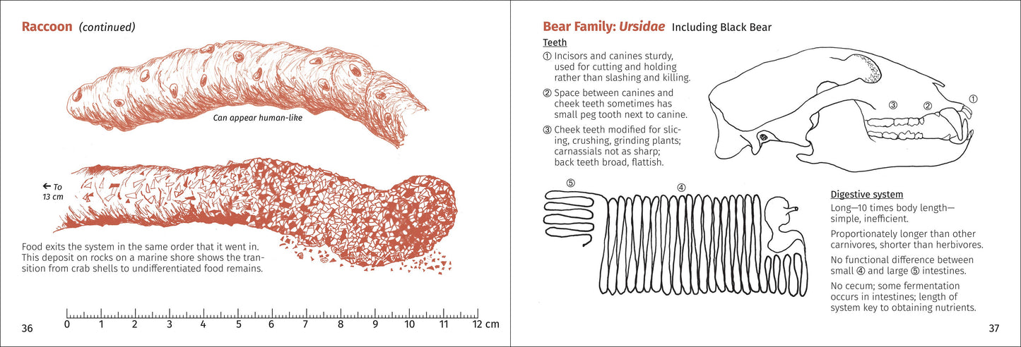 Scat Finder 2nd Edition
