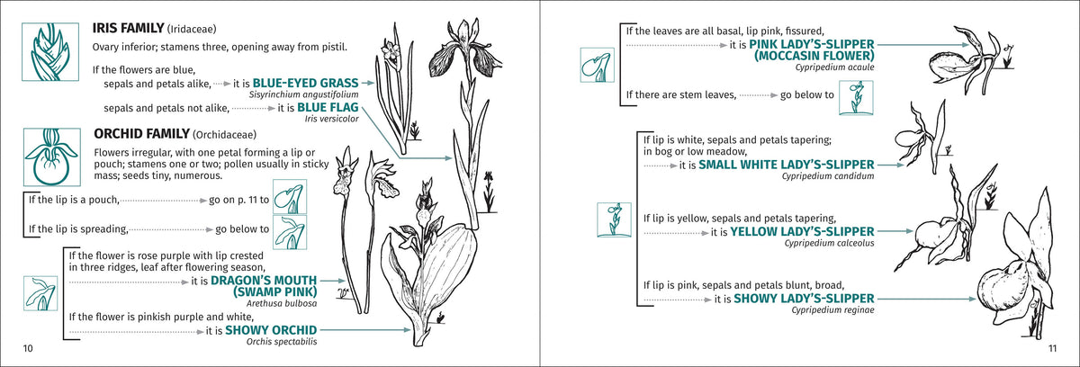 Flower Finder 2nd Edition