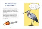 Bird Talk: Hilariously Accurate Ways to Identify Birds by Becca Rowland