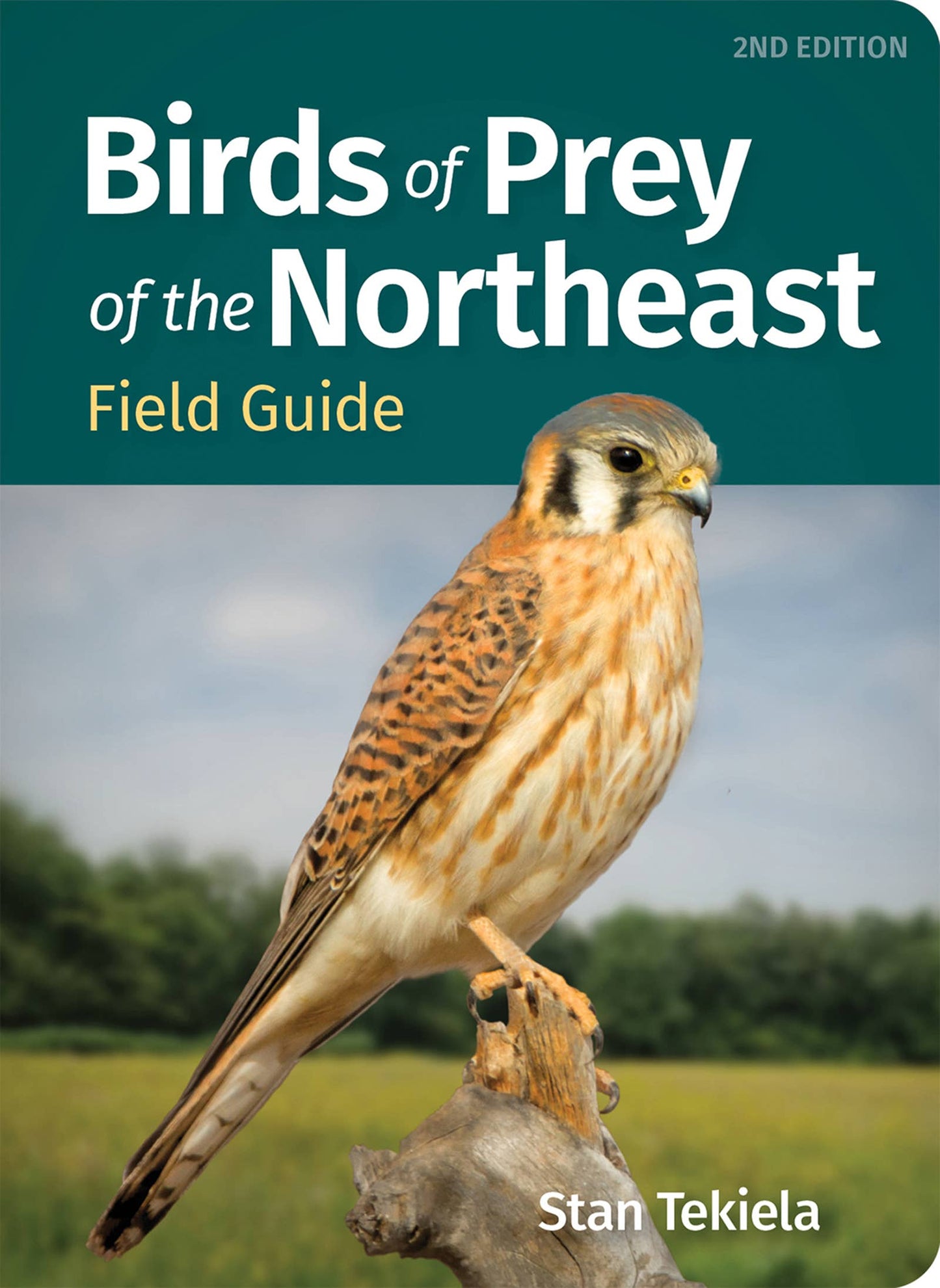 Birds of Prey of the Northeast Field Guide 2nd Edition