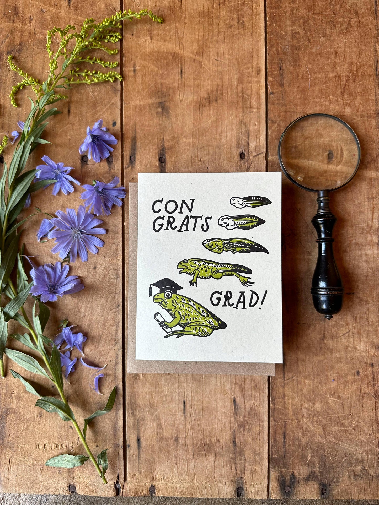 Frog Graduation Card - letterpress