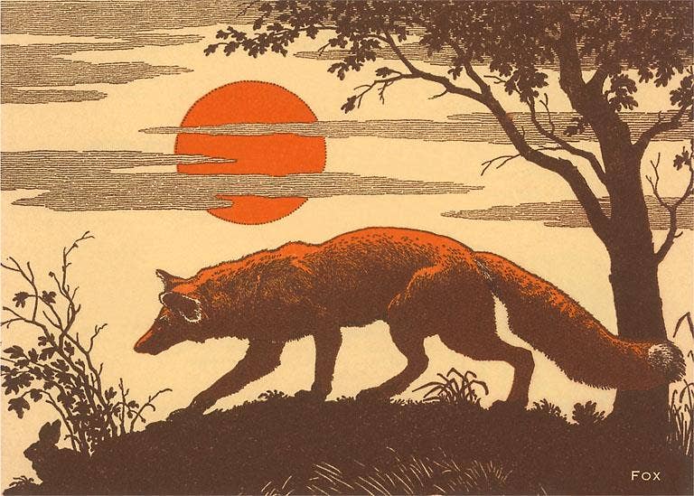 Postcard WD-15 Woodcut of Fox