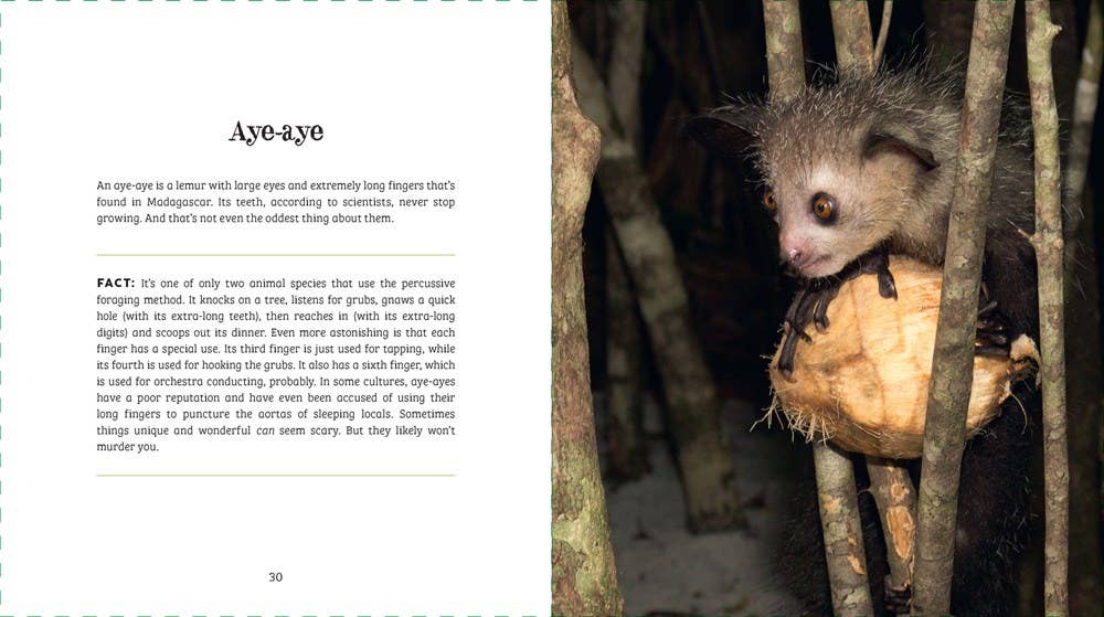 Ugly-Cute by Jennifer McCartney