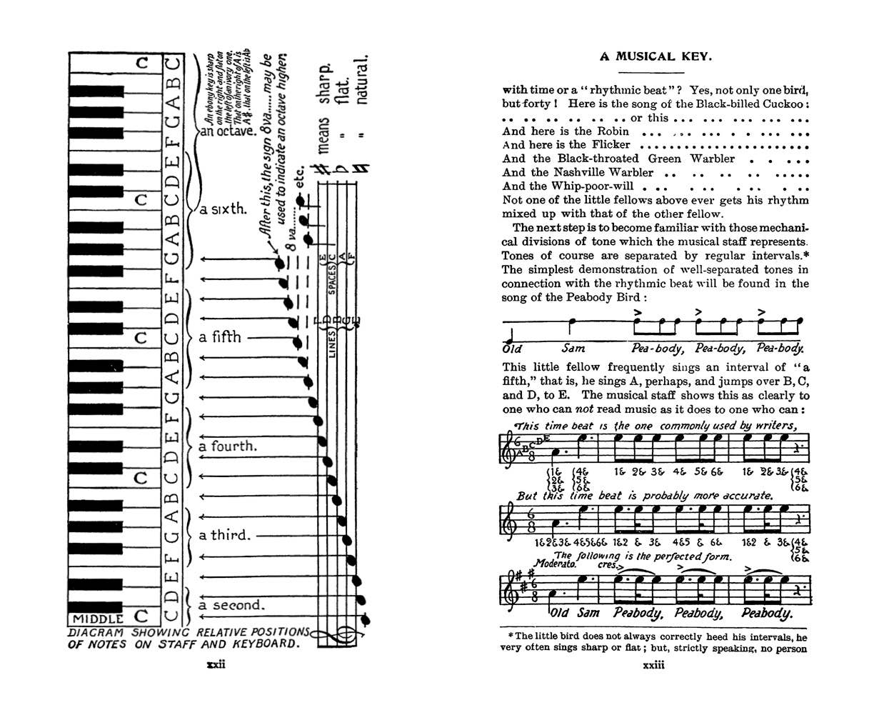 Field Book of Wild Birds and Their Music