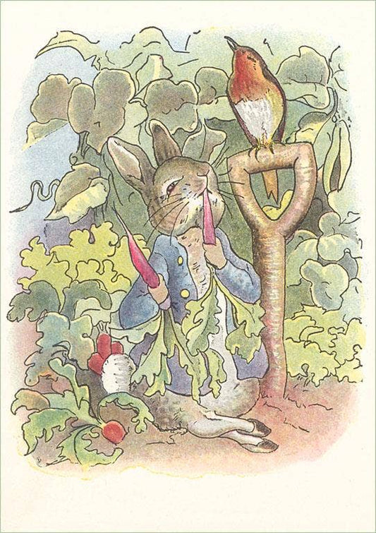 Postcard KF-519 Rabbit with Singing Robin