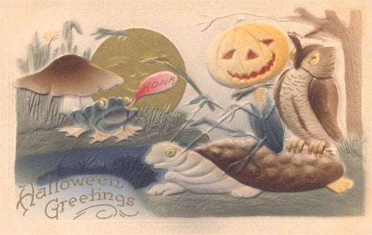 Greeting Card HW-252 Owl and Cricket on Tortoise