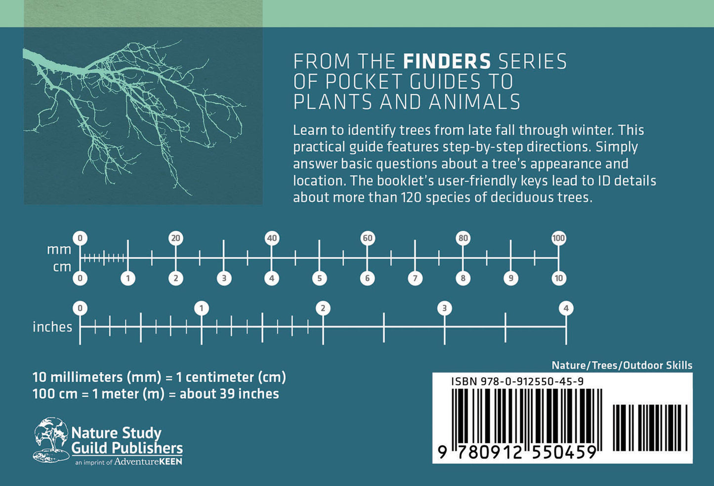 Winter Tree Finder 2nd Edition (Paperback)