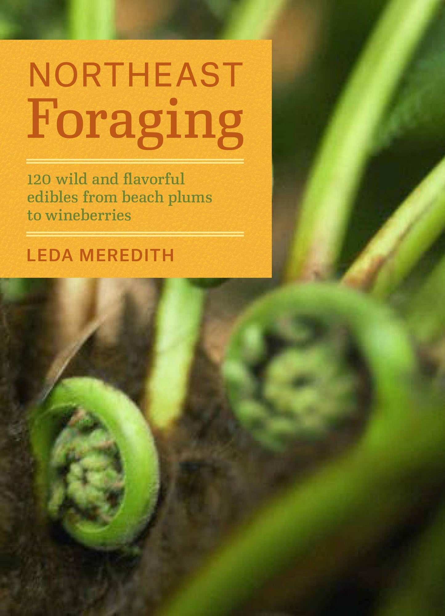 Northeast Foraging by Leda Meredith
