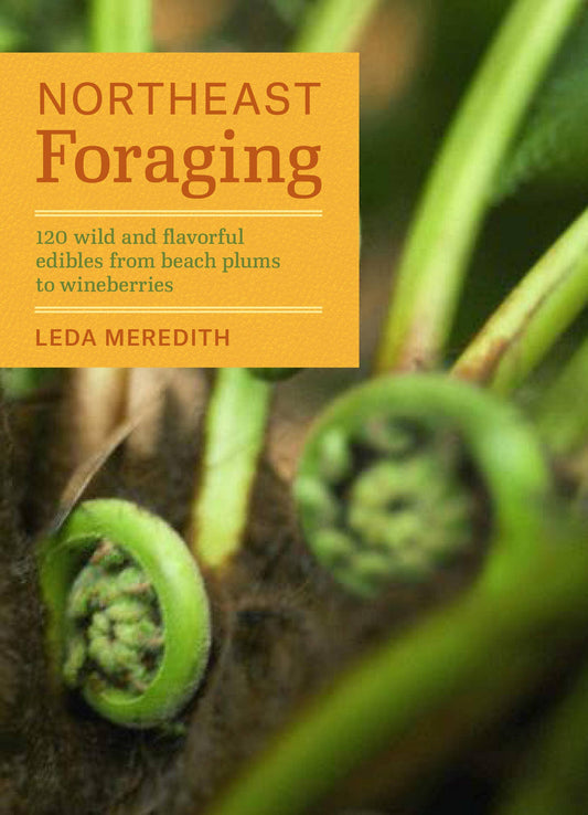 Northeast Foraging by Leda Meredith