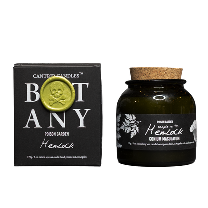 Botany: Poison Garden ~ Hemlock Candle